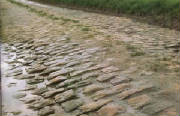 Paris-Roubaix Website Link